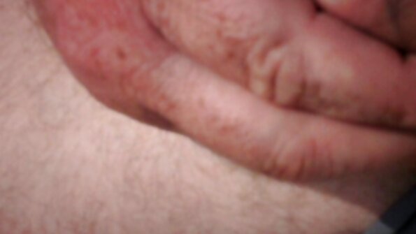 Katten porno seks vidio sutter mig.